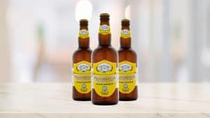 Cervejas 10 Cerveja Providência Pilsen Premium