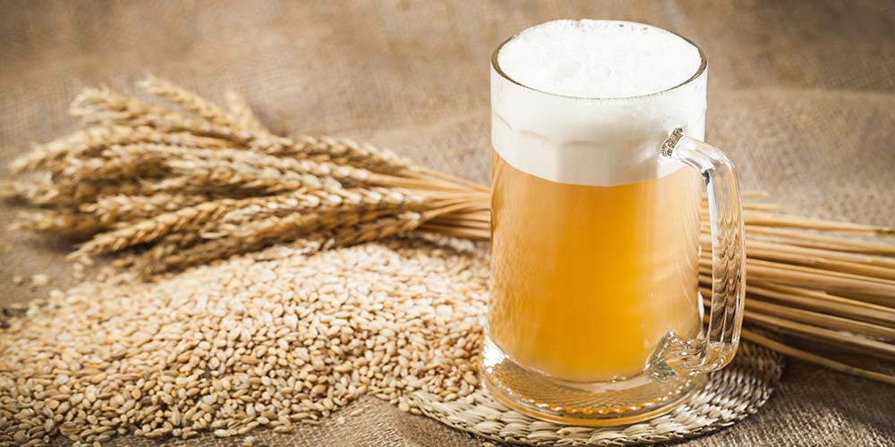 Providência Weizen Premium: para os amantes da cerveja de trigo 1 cerveja de trigo weizen